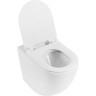 Унитаз приставной безободковый BELBAGNO BB2141CBR/BB865SC